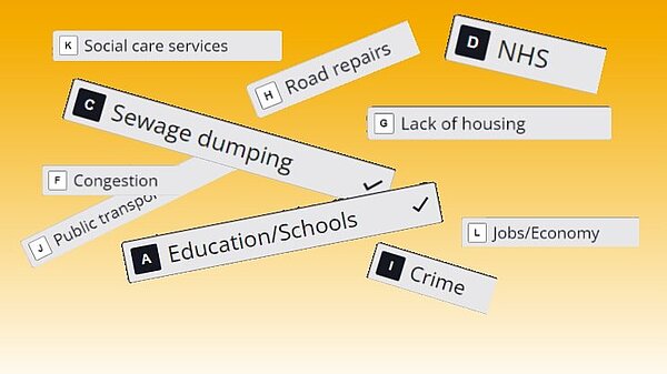 display of survey questions