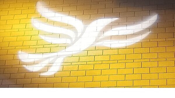 Image of Lib Dem logo bird projected on a wall