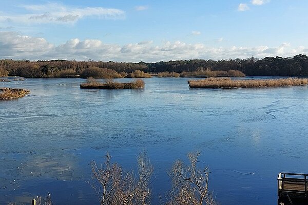 View of Fleet Pond in winter showing ice on the pond.