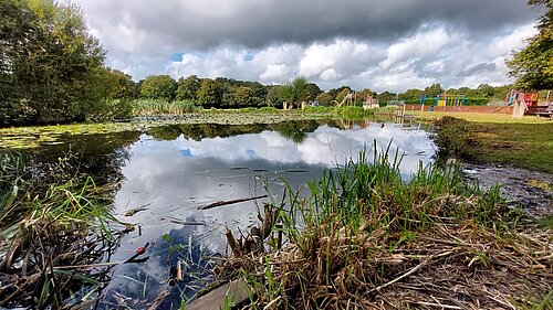 View of Yateley Pond