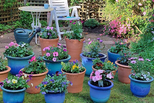 Fleshly planted flower pots in a garden